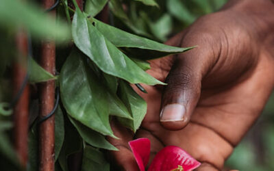 How to practice self-care when you have no time