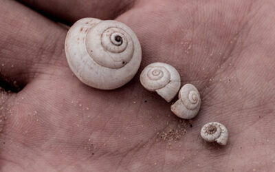 What wonderful qualities do you need to see, acknowledge and embrace?